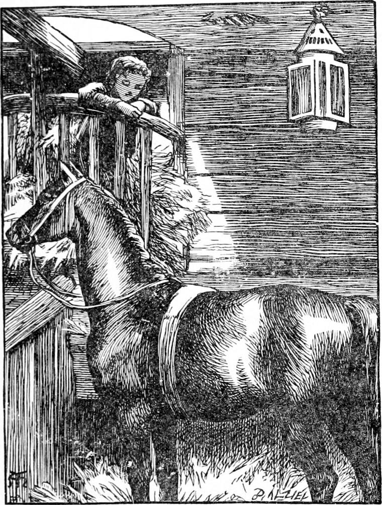 Little Diamond leans on the rail of his boarded loft bed and looks down at old Diamond the horse in the stall below.
