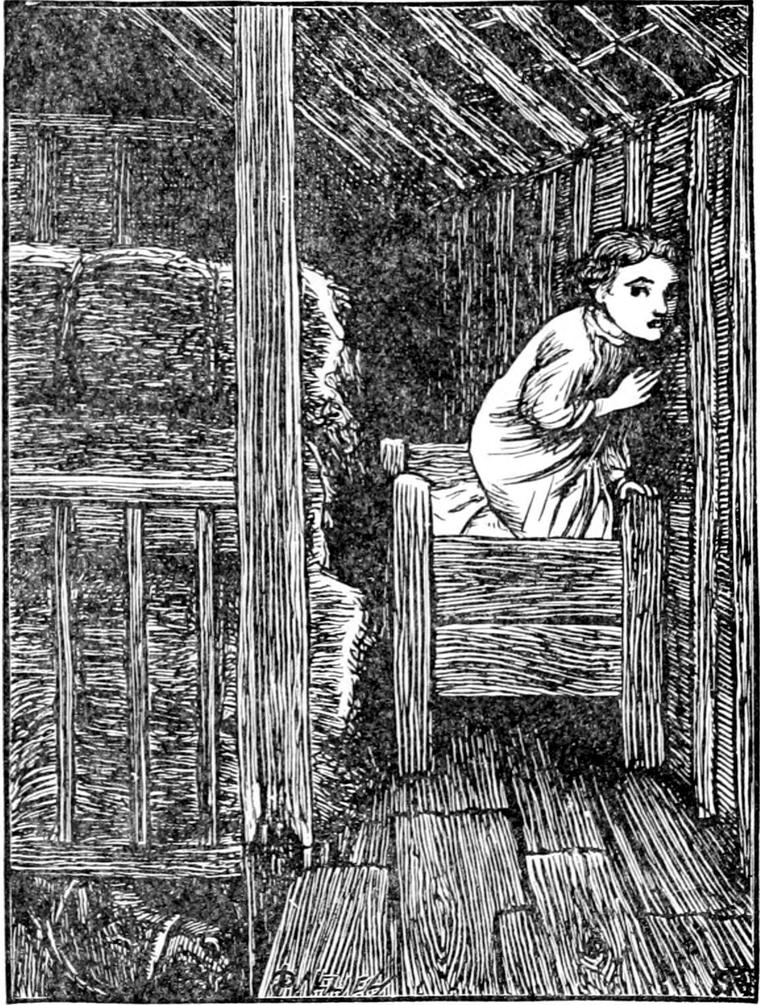 Little Diamond kneels up in his boarded bed in the dim hay-loft, wide-eyed, with one hand raised, listening to a voice from the wooden wall.