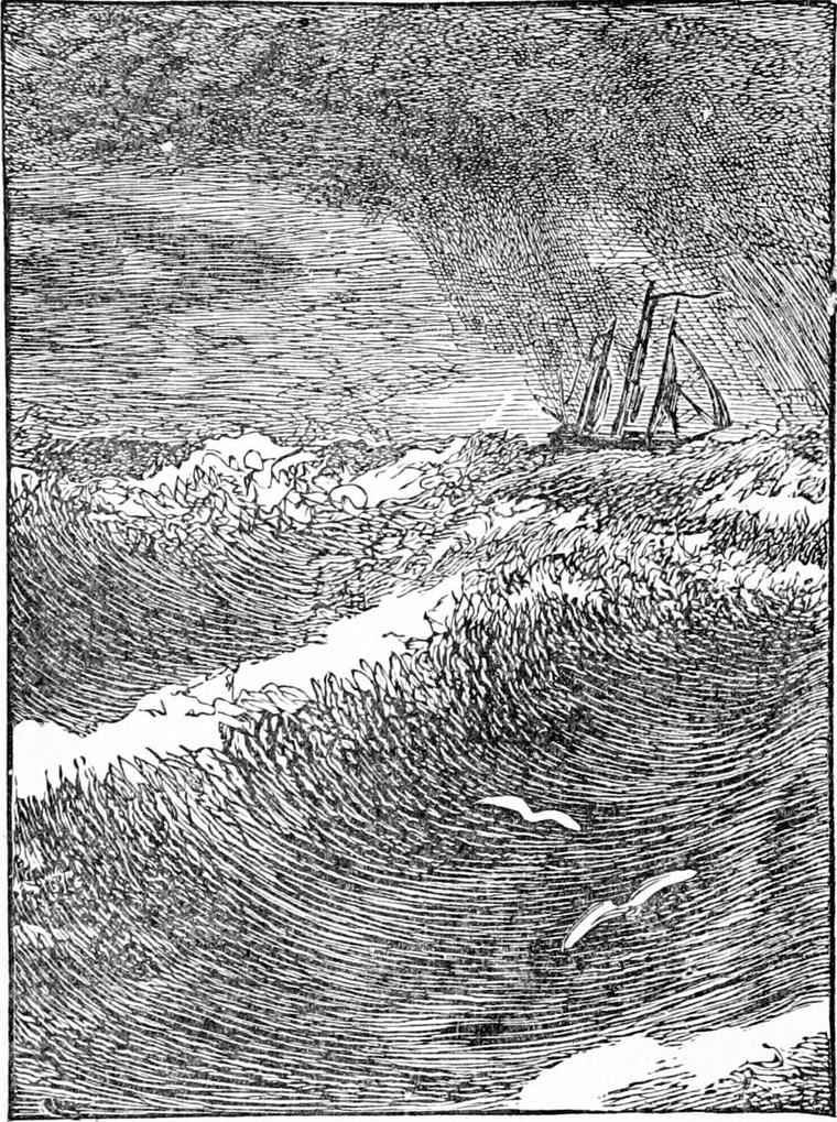 A schooner with tall masts rides the heavy swell of a stormy sea under a dark sky, while two gulls fly low over the waves.