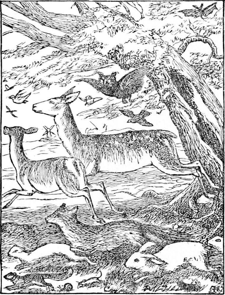 Deer, a fox, hares, weasels, mice and birds all hurry the same way across open ground beneath a great tree.