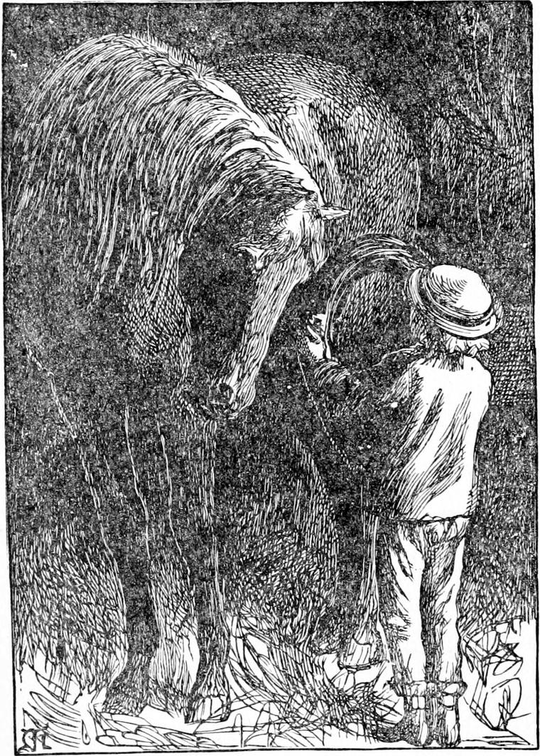 Diamond, seen from behind in his round hat, stands before old Diamond, who lowers his great head so the boy can slip the harness on.