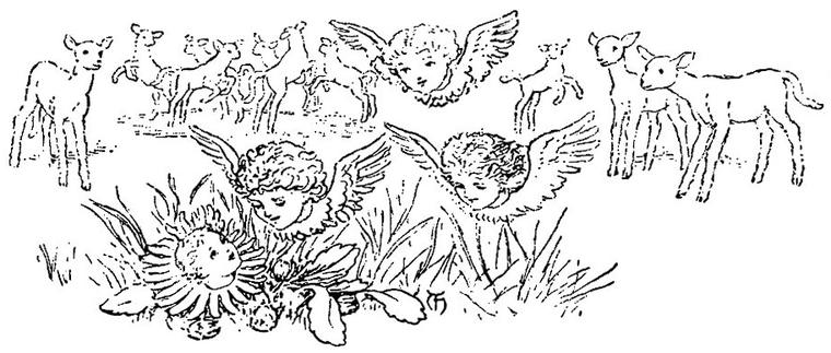 The fairy of the daisy, a child's face in a flower, is watched by winged child-fairies while lambs frisk behind.
