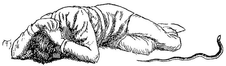 Anodos lies on the ground weeping, his face buried in his arms, as a thin snake glides by.