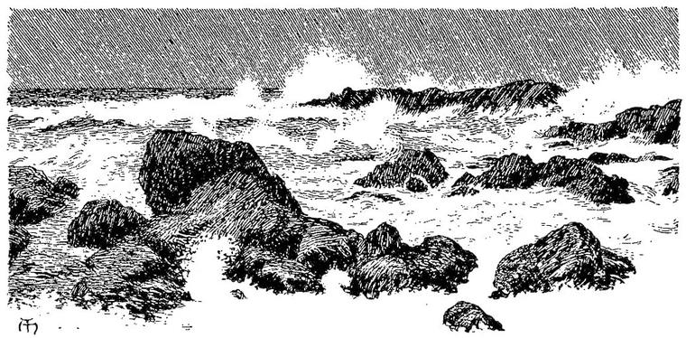 Waves break in white spray over dark rocks on a bare, stormy shore under a heavy sky.