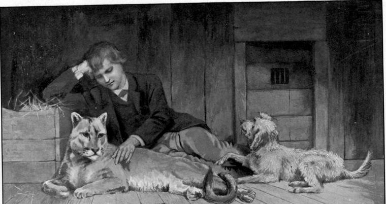 Clare lies asleep against the puma in its cage, his dog curled up beside them.